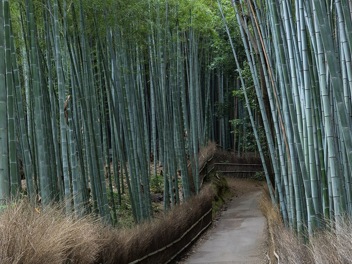 Kyoto, Japan
